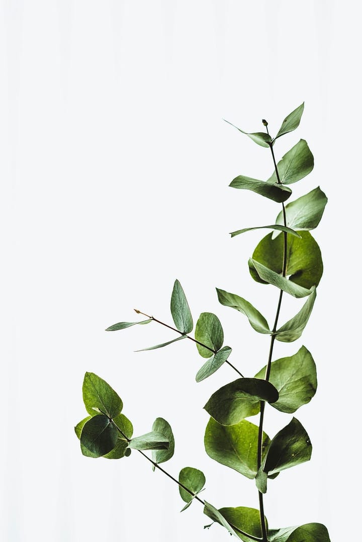 Minimalist Decorating Ideas for Spring: Freshen Up Your Home with Fewer Items