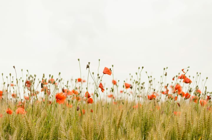 How to Start Living Simply: A Beginner’s Guide