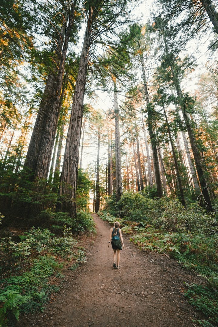 Embracing Nature Walks as a Form of Meditation: The Benefits of Walking Mindfully